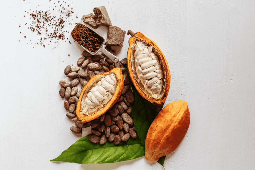 global cocoa market